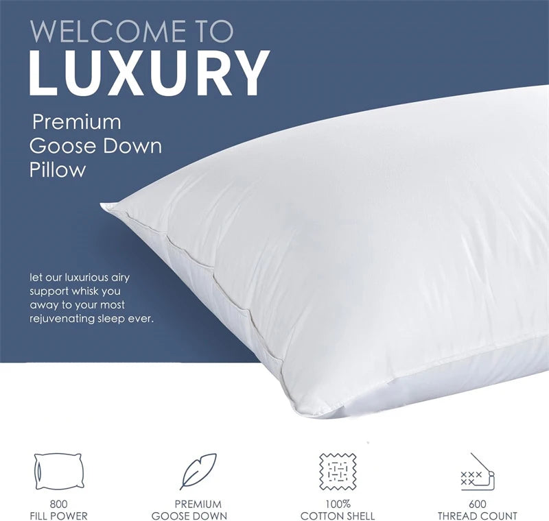 Luxury Goose Feather & Down Pillow Set – 2-Piece Premium Bed Pillow Inserts with 100% Cotton Shell