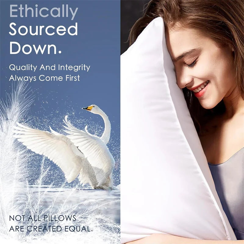 Luxury Goose Feather & Down Pillow Set – 2-Piece Premium Bed Pillow Inserts with 100% Cotton Shell